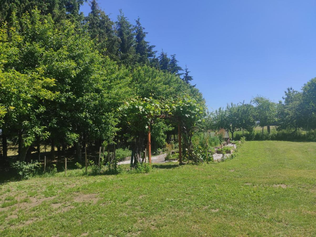 Swiety Spokoj Tuchlin  Exteriér fotografie